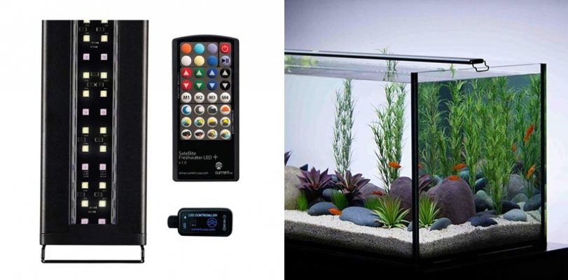 BEST LED Aquarium Lighting [LED Fish Tank Lights] | LED Light Guides